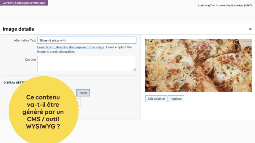 Ce contenu  va-t-il être généré par un CMS / outil WYSIWYG ? - Example d'un champ alt dans WordPress