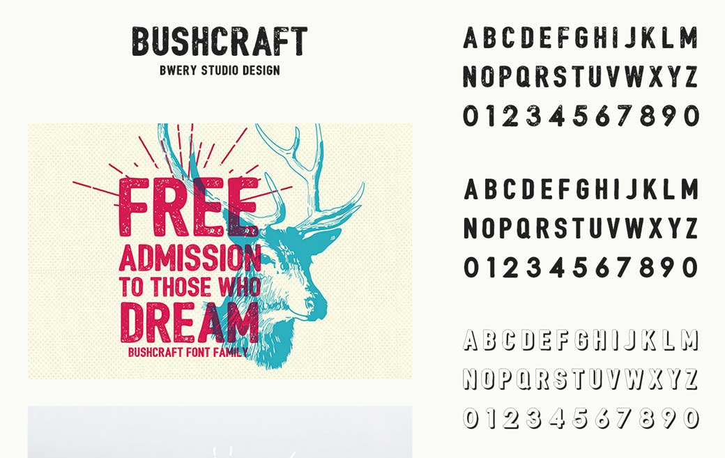 Bushcraft Font Family