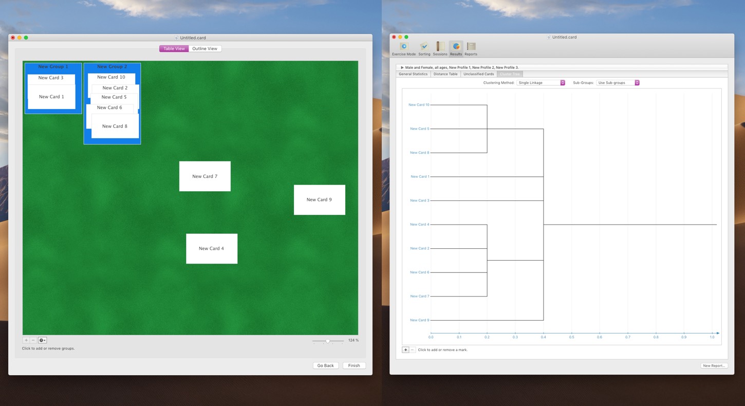 A screenshot of the card sorting and of the results with Xsort