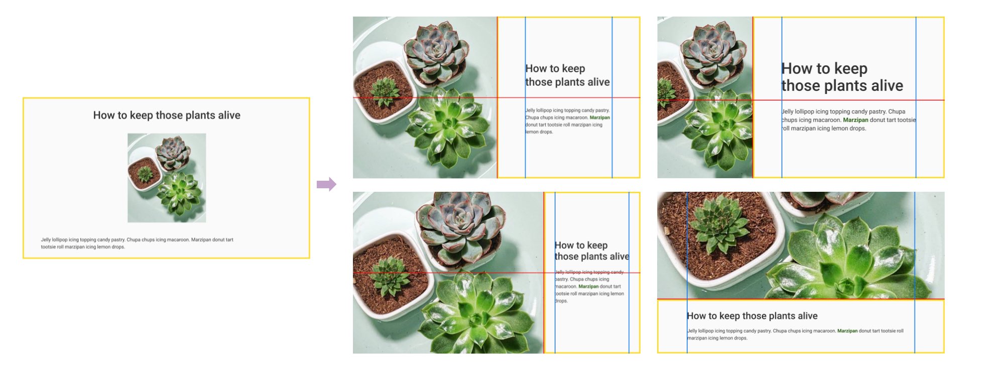 Visual examples of the layout described